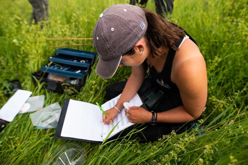 一位环境学的学生坐在高高的草地上，一边做田野调查，一边做笔记